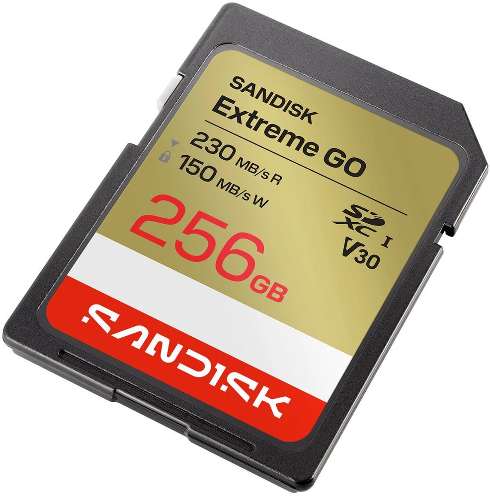 Atminties kortelė SanDisk Extreme GO SD 256GB 230/150 MB/s UHS-I