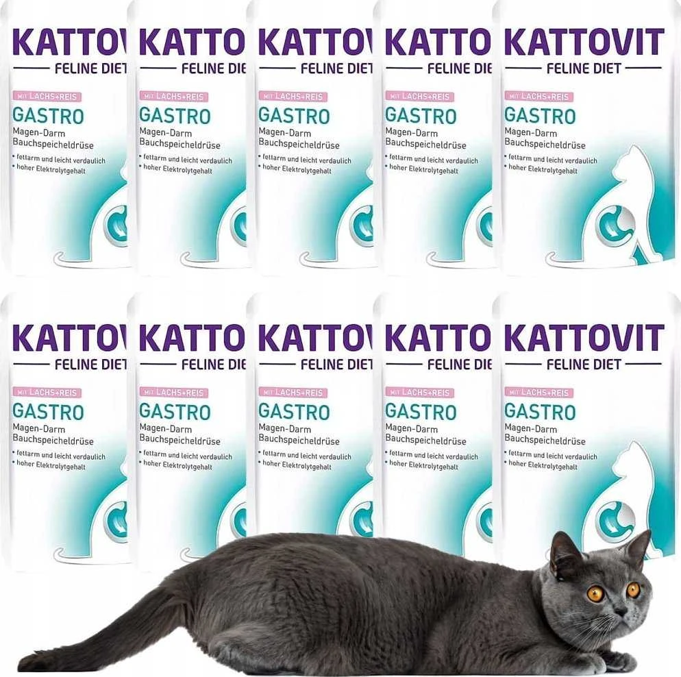 Drėgnas Kačių Maistas - KATTOVIT Feline Diet Gastro lašiša su ryžiais 85g