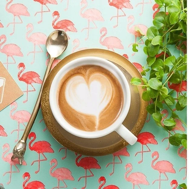 Nezatříděno Kavos pupelės Etno Cafe Gvatemalos Huehuetenango kavos pupelės 250 g