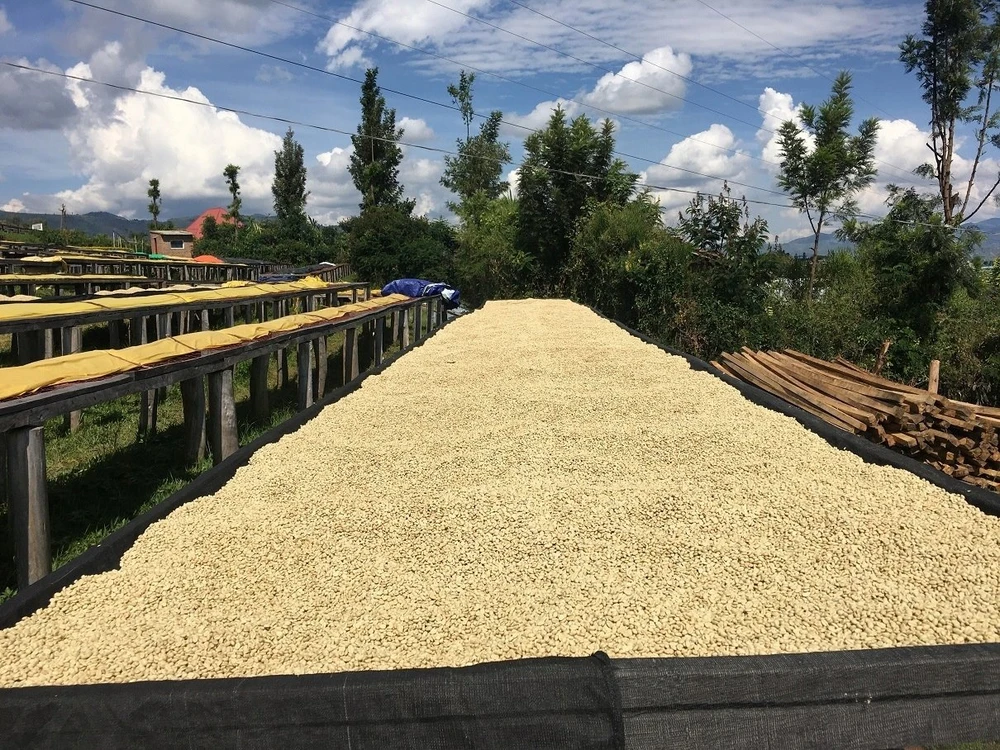 Kavos pupelės Muhabura Kavos pupelės RWANDA MUHABURA NATURAL ESPRESSO 400g