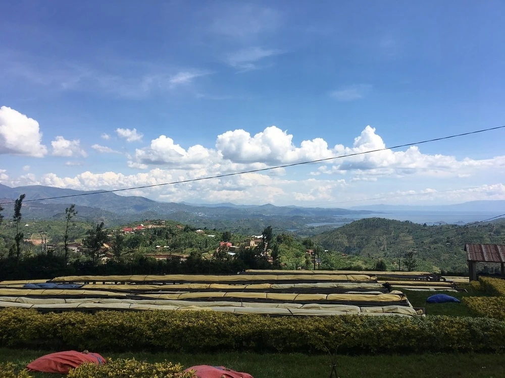 Kavos pupelės Muhabura Kavos pupelės RWANDA MUHABURA NATURAL ESPRESSO 400g