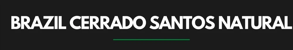 Kavos pupelės Świeżo Palona Kavos pupelės Brazilija Cerrado Santos Natural 250g