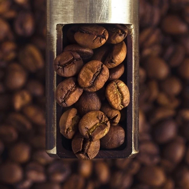 Kavos pupelės Świeżo Palona Kavos pupelės Brazil Cerrado Espresso 250g