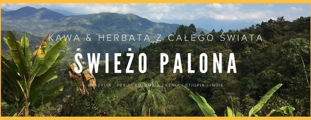 Kavos pupelės Świeżo Palona Kavos pupelės Brazil Cerrado Espresso 250g