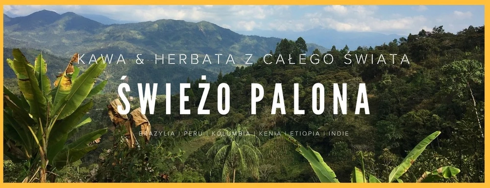 Kavos pupelės Świeżo Palona Kavos pupelės Brazilija Cerrado Santos Natural 250g