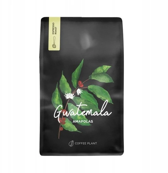Kavos pupelės Coffee Plant Kavos pupelės COFFEE PLANT Gwatemala Makowce 250g