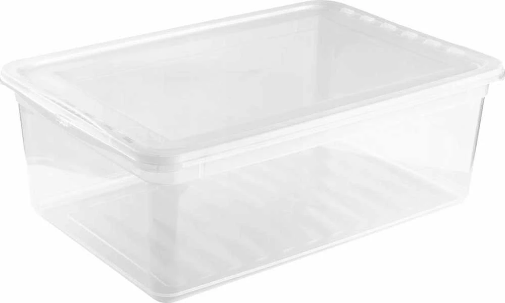 Keeeper Box Bea indas skaidrus 11l