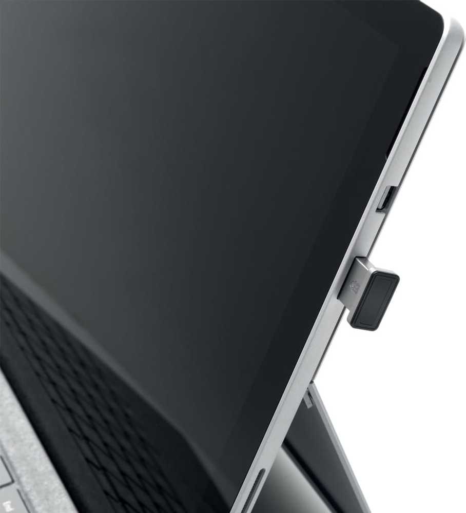 Leitz KENSINGTON VeriMark IT Fingerprint Key