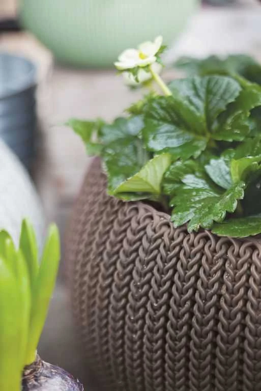 Keter COZIES KNIT gėlių vazonas - šviesiai rudas