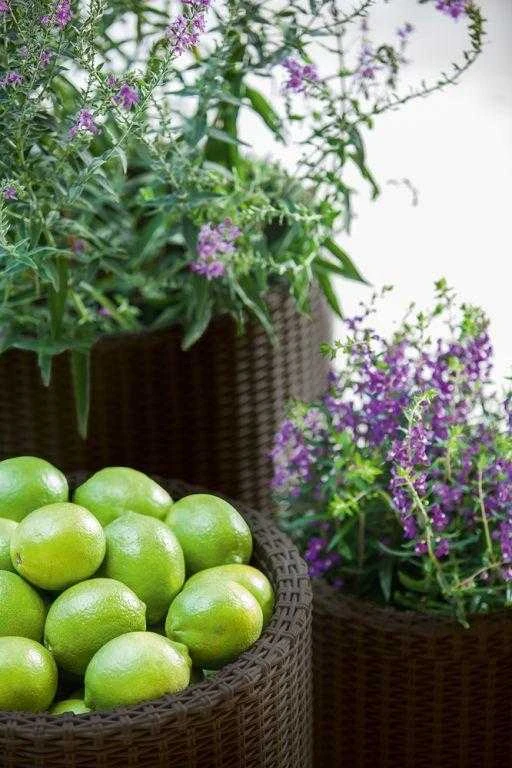 Keter S+M+LCYLINDER PLANTERS, 230217