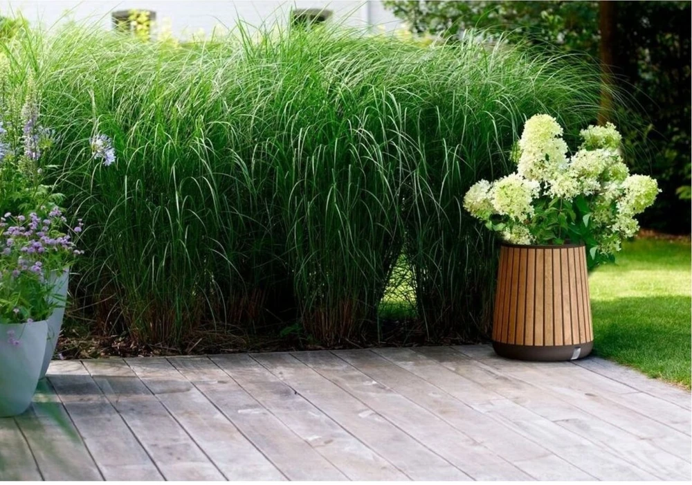 KETER 261030 garden planter bronze