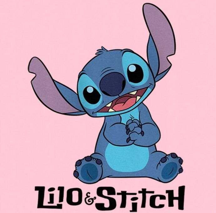 Kids Euroswan Rinkinys Lilo I Stitch Priedai Do Włosów 24 Szt. Dla Dziecka Spinki Gumki / St00101