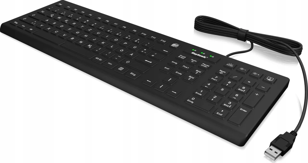 RaidSonic KeySonic KSK-8031INEL-B (DE) klaviatūra Industrial USB QWERTZ German Juodas
