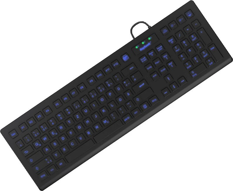 RaidSonic KeySonic KSK-8031INEL-B (DE) klaviatūra Industrial USB QWERTZ German Juodas