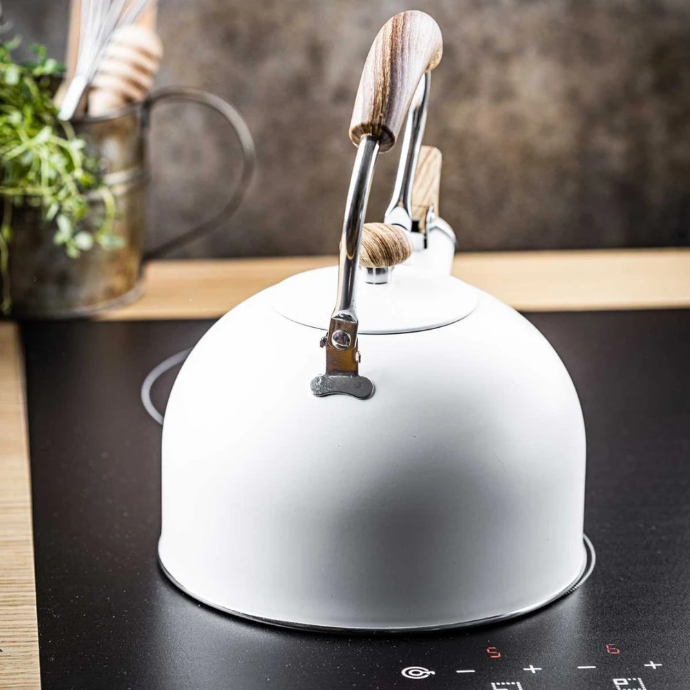 King Hoff Plieninis virdulys 2,5 L INDUKCINIS KINGHOFF KH-1860 Matinis Baltas