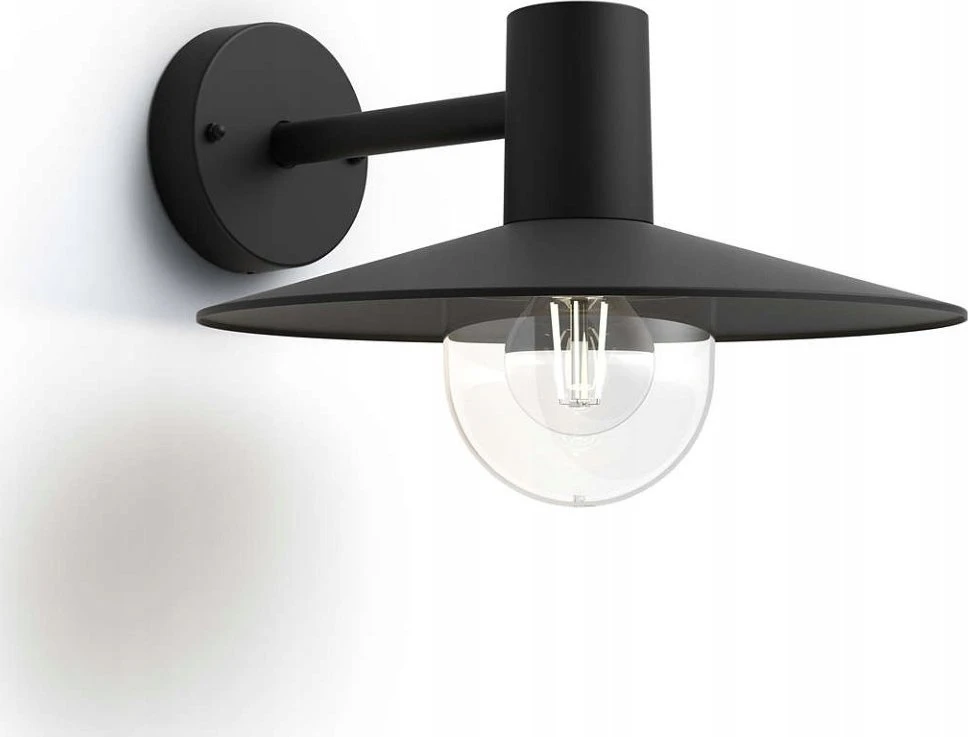 Sieninis šviestuvas Tvirtinamas šviestuvas Philips Skua 1X42W E27