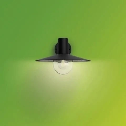 Sieninis šviestuvas Tvirtinamas šviestuvas Philips Skua 1X42W E27