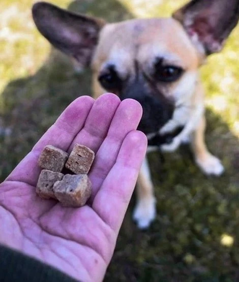 Gyvūnų maistas - JOHN DOG KIWI WALKER Šaldytos džiovintos triušienos skanėstai 75g