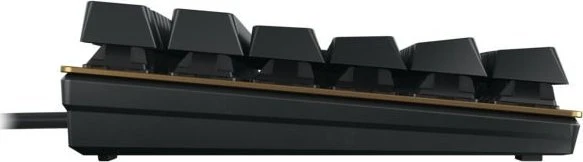 Klaviatūra Cherry KC 200 MX klaviatūra Uniwersalne USB QWERTY Angielski Juodas ruda