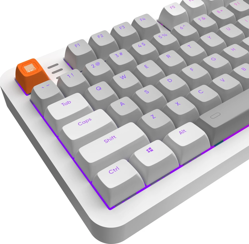 Klaviatūra žaidimams Dark Project ALU87B G3MS Moonstone su laidu mechaninė su pašvietimu pilka