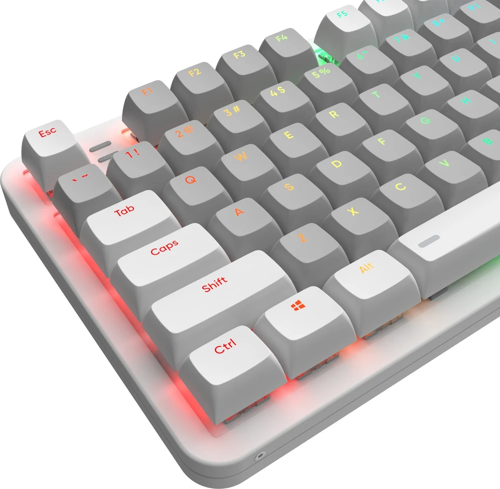 Klaviatūra Dark Project ALU87A Onionite su laidu - G3MS Mechaninė RGB (ENG)