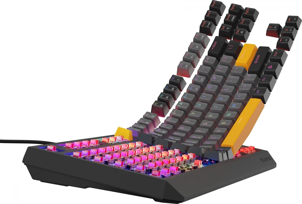 Genesis | THOR 230 TKL | Mechaninė klaviatūra žaidimams | su laidu | US | Outemu Raudona | Anchor Gray Negative