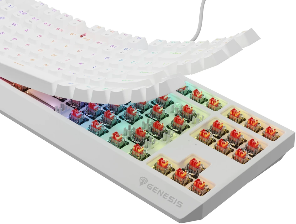 GNS GENESIS Thor 230 TKL klaviatūra Žaidimams USB QWERTY Anglų (JAV) Balta