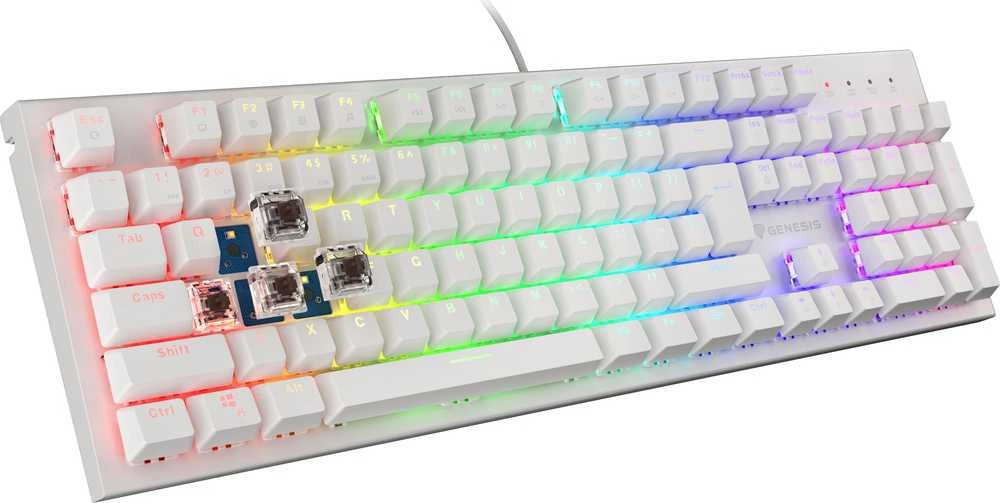 GENESIS THOR 303 FR BALTA ŽAIDIMŲ MECHANINĖ KLAVIATŪRA SU RGB APŠVIETIMU IR RUDAISIAIS (BROWN) JUNGIKLIAIS, HOT-SWAP