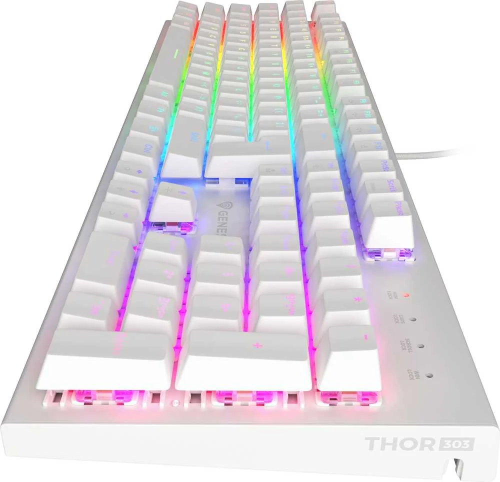 GENESIS THOR 303 FR BALTA ŽAIDIMŲ MECHANINĖ KLAVIATŪRA SU RGB APŠVIETIMU IR RUDAISIAIS (BROWN) JUNGIKLIAIS, HOT-SWAP