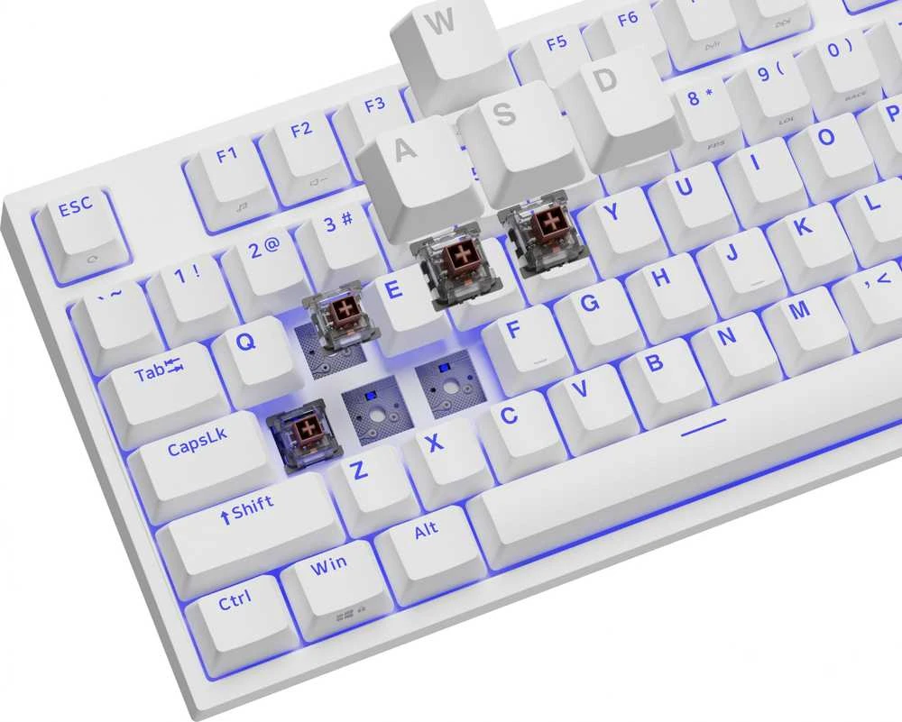 Genesis | THOR 404 TKL | Mechaninė klaviatūra žaidimams | su laidu | US | Kailh Box Brown V2 | Baltas