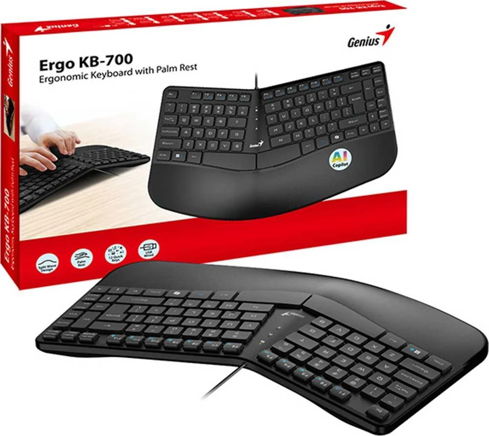 Genius Ergo KB-700 Copilot klaviatūra su laidu (USB) CZ/SK, juoda