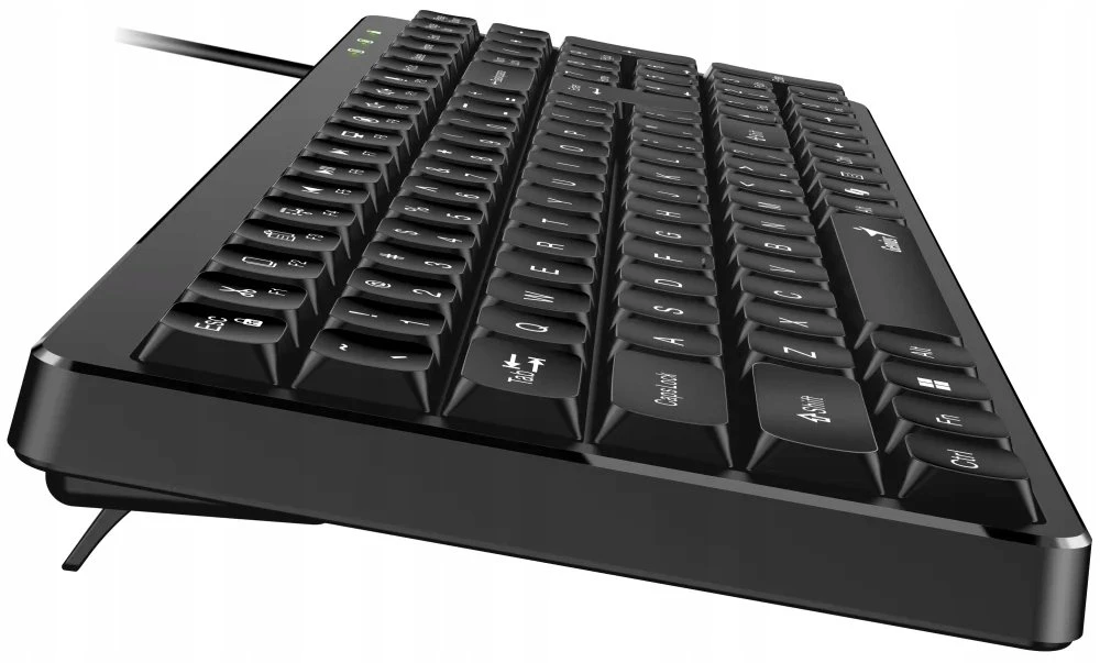Genius LuxeMate 120 Copilot klaviatūra su laidu (USB) CZ/SK, juoda