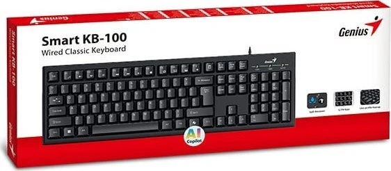 Genius Smart KB-100 COPILOT klaviatūra su laidu (USB) CZ/SK, juoda