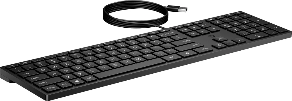 Klaviatūra HP 320K su laidu