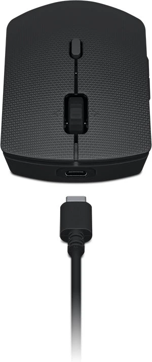LENOVO PROFESSIONAL WIRELESS RECHARGEABLE Klaviatūra ir pelė AI NORDIC