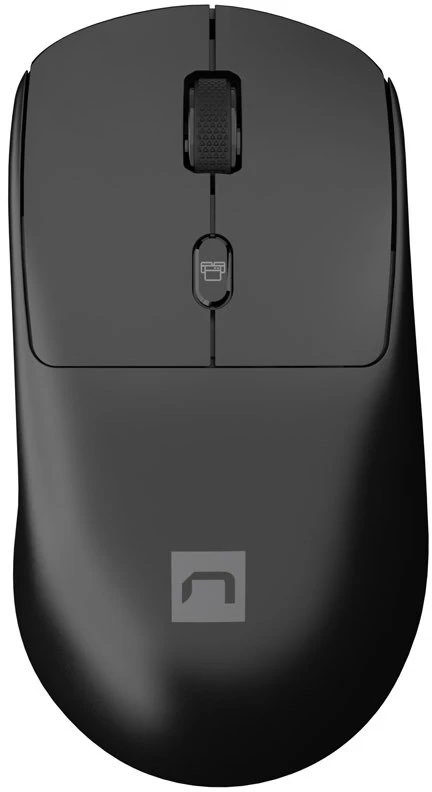 Natec | Klaviatūra ir pelė | Squid 2in1 Bundle | Klaviatūros ir pelės rinkinys | Wireless | Belaidė jungtis | US | Juodas