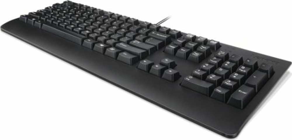 Lenovo Preferred II Pro USB QWERTY Klaviatūra Scandinavia Universal Juodas