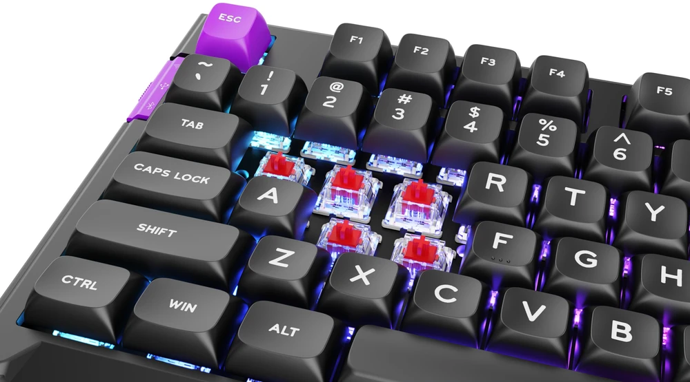 Klaviatūra PREYON Silent claw red Gateron Raudona Pro (PSCR105B)