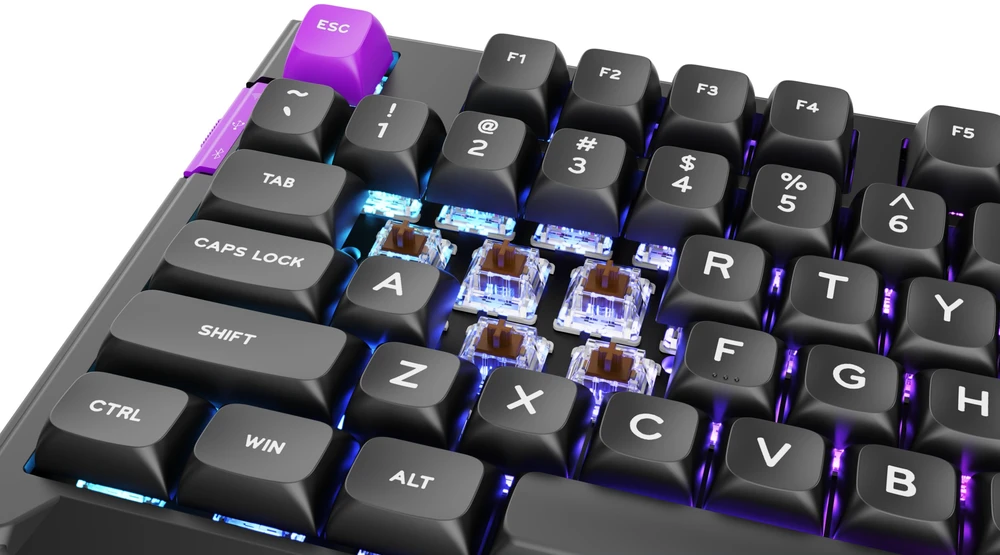 Klaviatūra PREYON Silent claw TKL raudona Gateron Brown Pro (PSCTB85B)