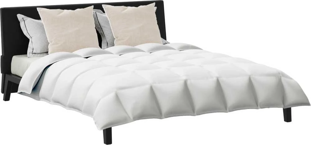 Antklodžių rinkinys su pagalve 3 pcs Balta Plunksna 3377155