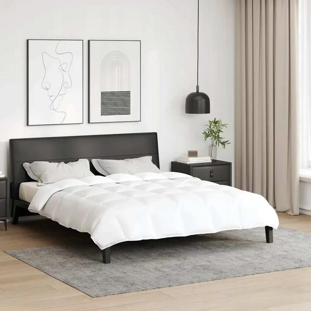 Antklodė 240 x 220 cm Pavasaris, Ruduo Plunksna Balta