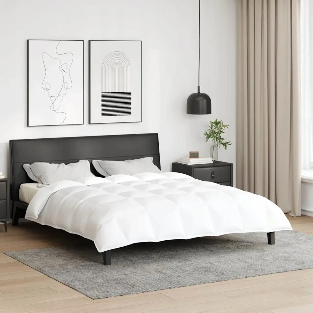 Žiemos antklodė 260 x 220 cm Žiema Plunksna Balta Kvėpuojantis