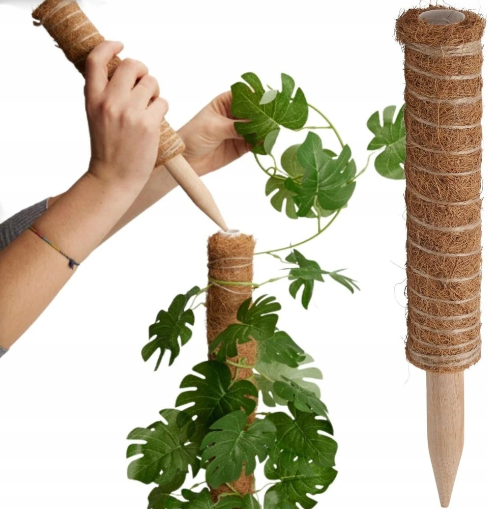 ProGarden Kokosinė augalų atrama 30 cm