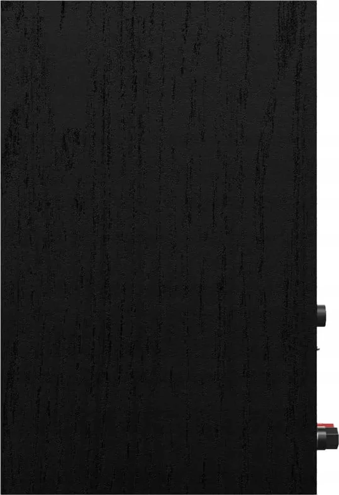 Kompiuterio kolonėlės Klipsch R-40PM Para