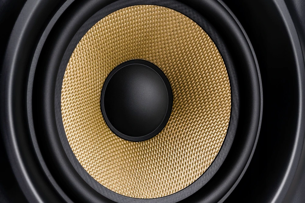 Garso kolonėlė M-AUDIO FORTY SIXTY, 1 vnt. Juodos spalvos