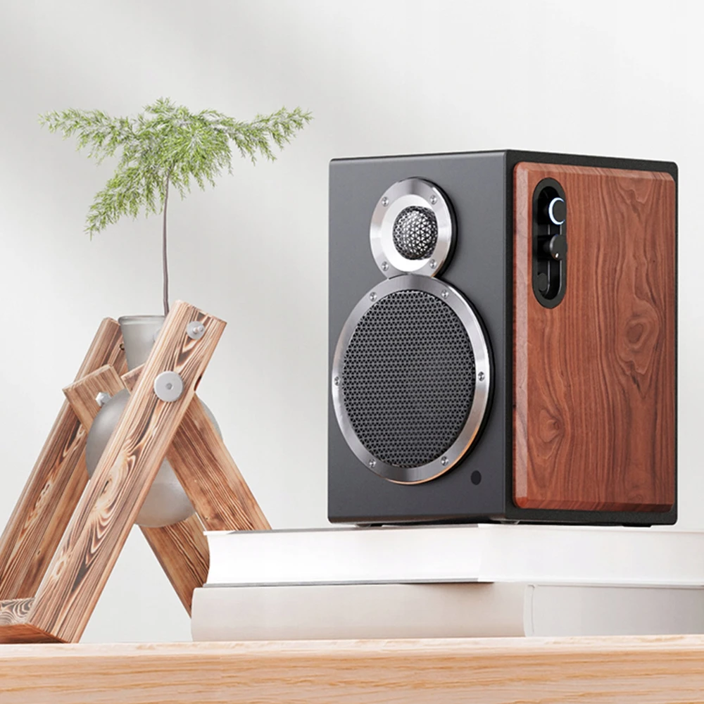 Kompiuterio kolonėlės FiiO SA1 garsiakalbis - juodas - Aktyvios Hi-Fi kolonėlės