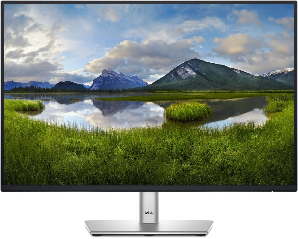 Monitorius Kompiuteris „Dell P Series“ (P2425E)