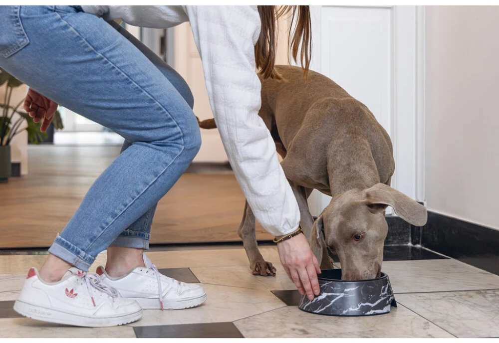 KONG BOWL FOR DOGS MEIS Juodas 700ML
