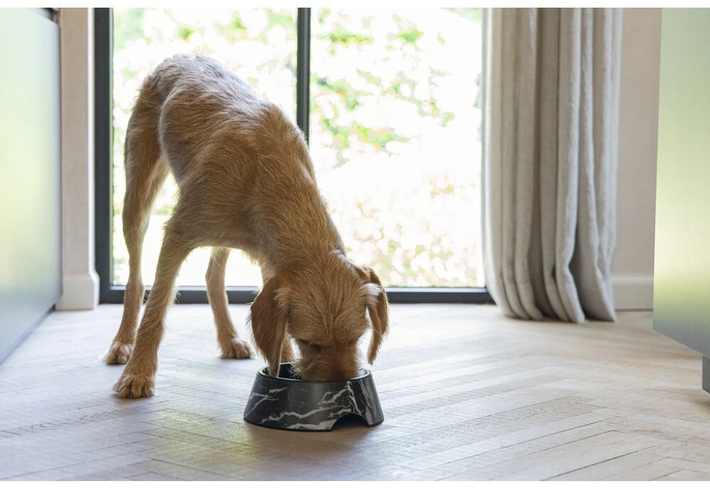 KONG BOWL FOR DOGS MEIS Juodas 700ML