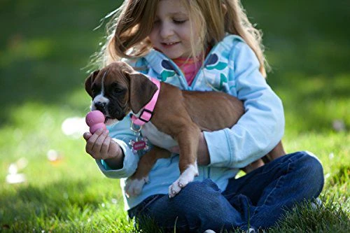 KONG Puppy guminis žaislas šuniukams, M